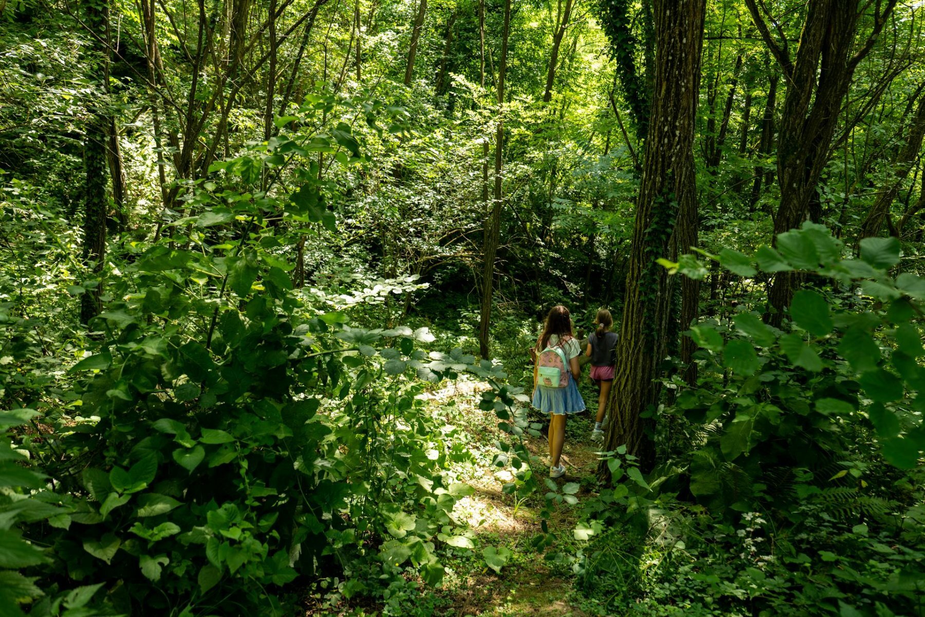 balades foret bourgogne