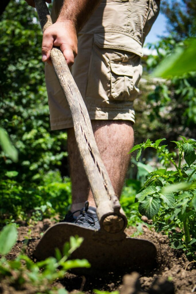 entretien terre