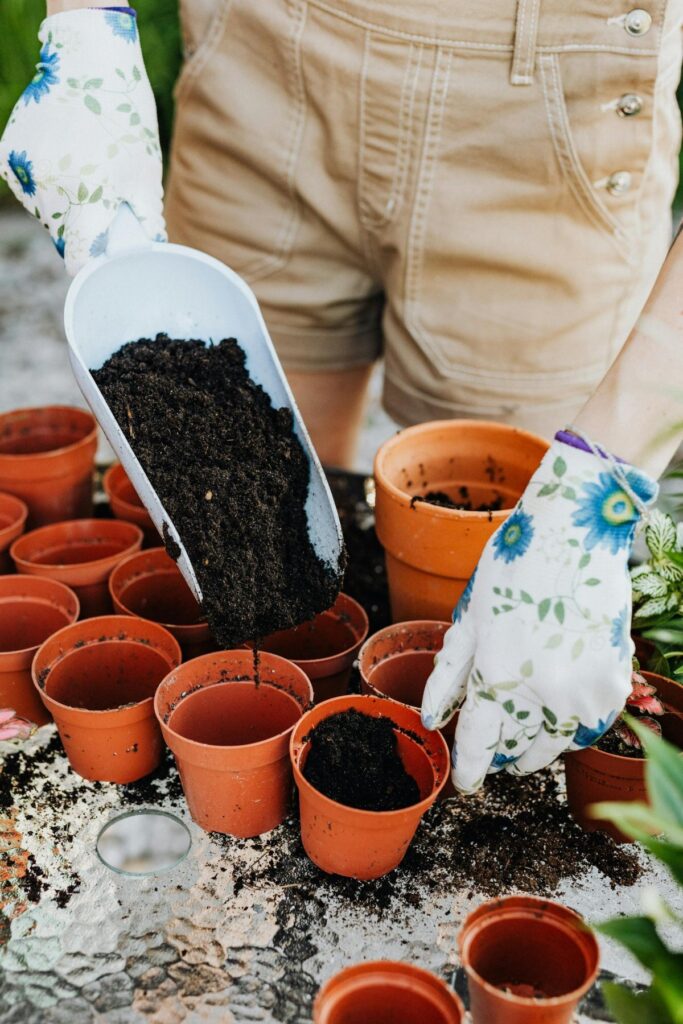 jardinage pots plantes
