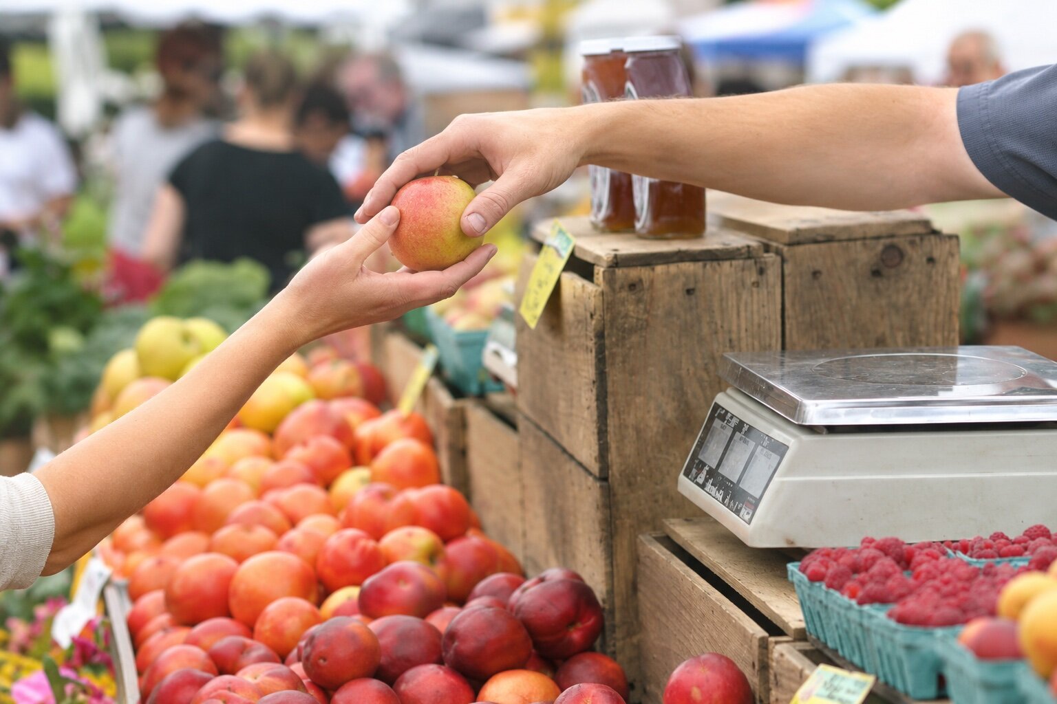 marche gastronomique druyes les belles fontaines novembre 2026