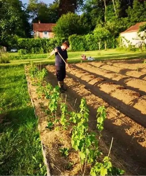 potager bourgogne franche comte versailles chateau des barres yonne