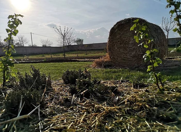 potager chateau des barres versailles yonne