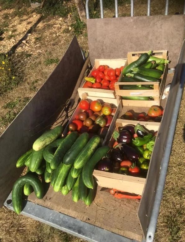 potager versailles chateau des barres yonne jardin