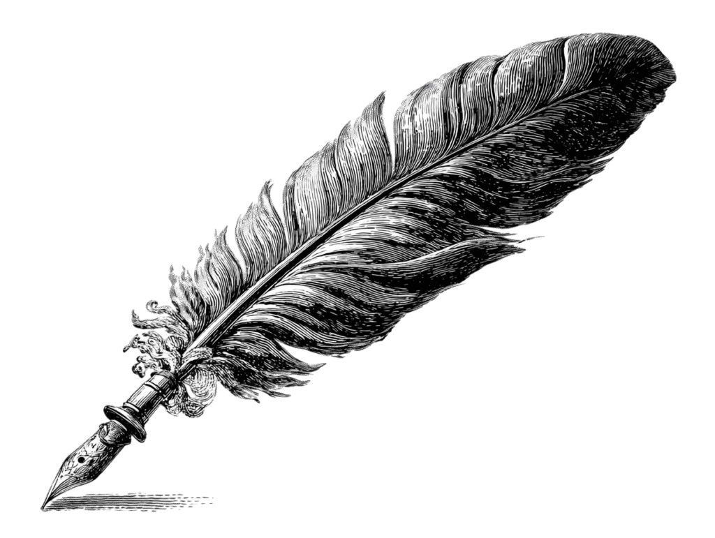 vecteur plume temoignages