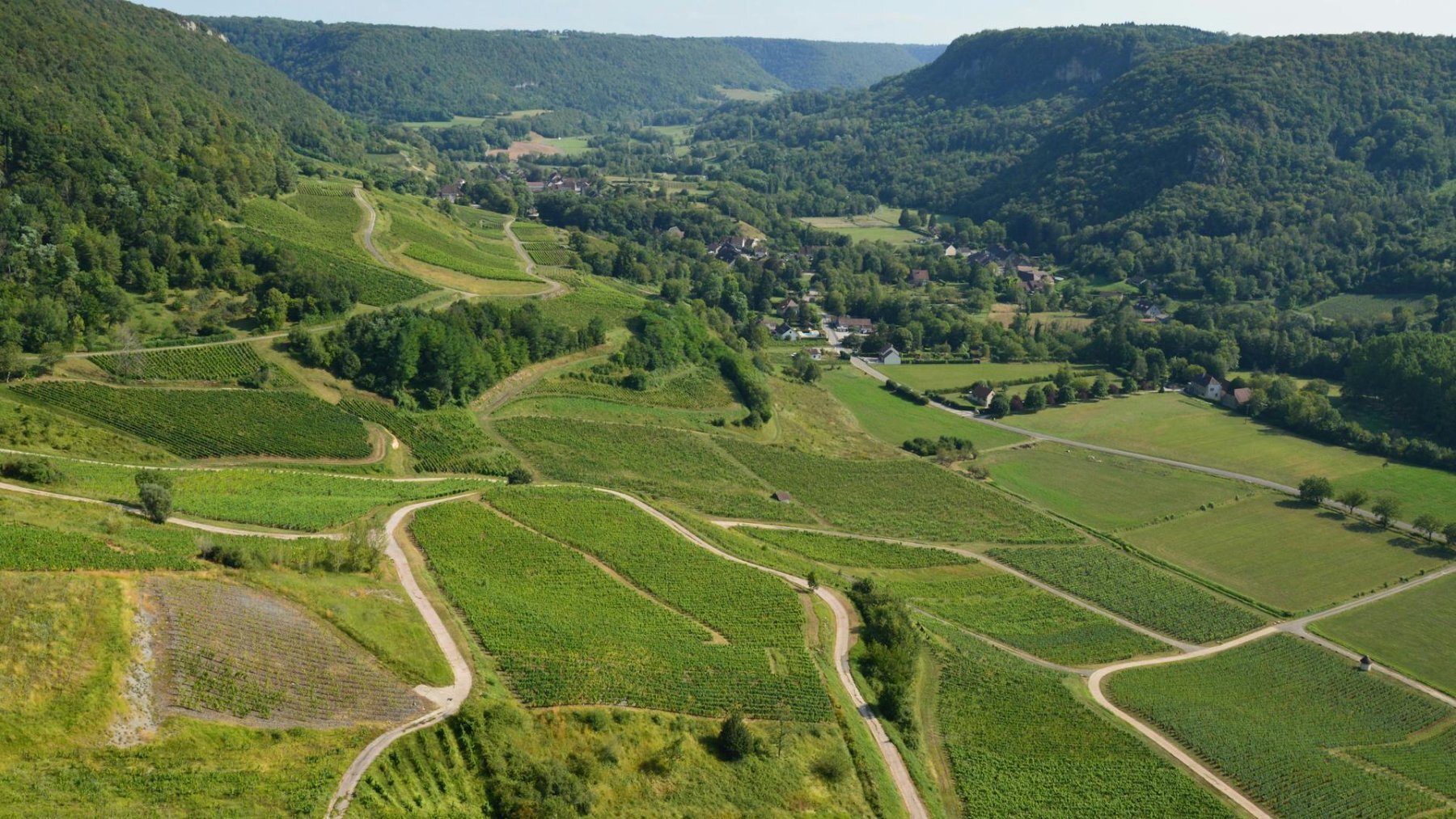 vignobles en bourgogne franche comte